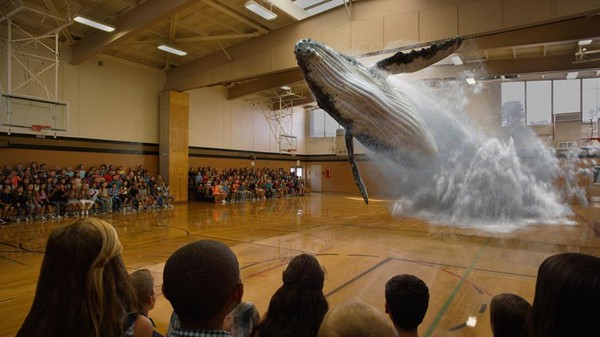 Magic Leap.jpg