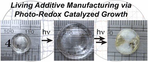 Living Additive Manufacturing
