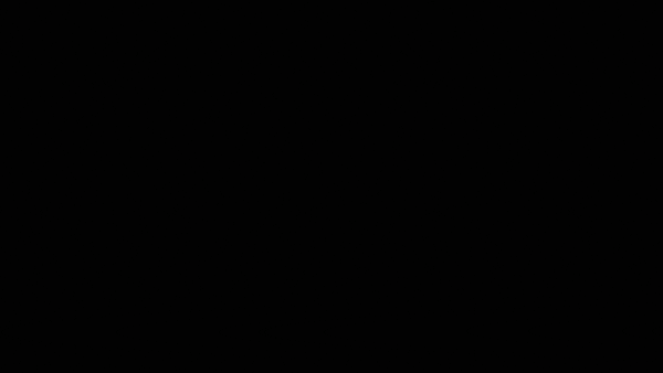 FORCE FLUID 2.gif
