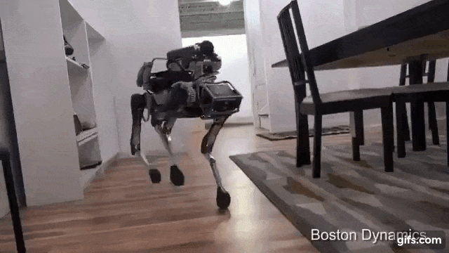 Spotmini gif (2)
