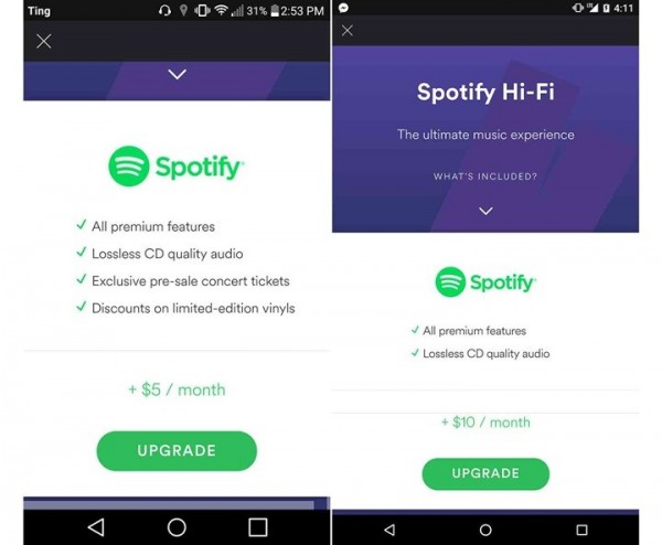 spotify2.jpg