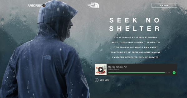 Seek No Shelter