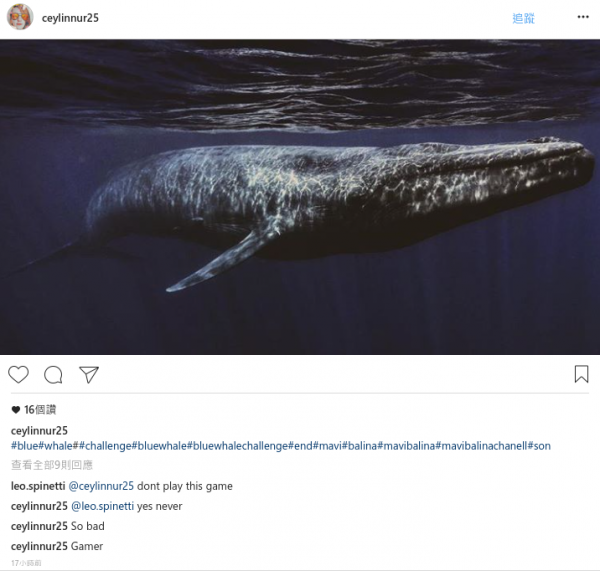 BLUEWHALE.PNG
