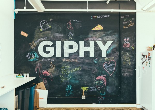 giphy2.jpg