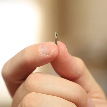 MICROCHIP