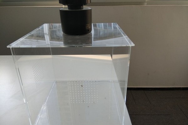 Mosquito Box01.jpg