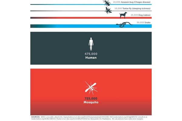 Mosquito Box13.jpg