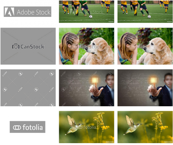 google_ai_watermark_4.png