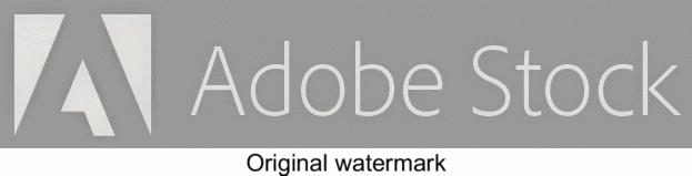 google_ai_watermark_6.gif