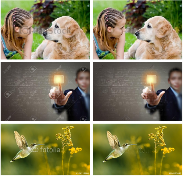 google_ai_watermark_7.png