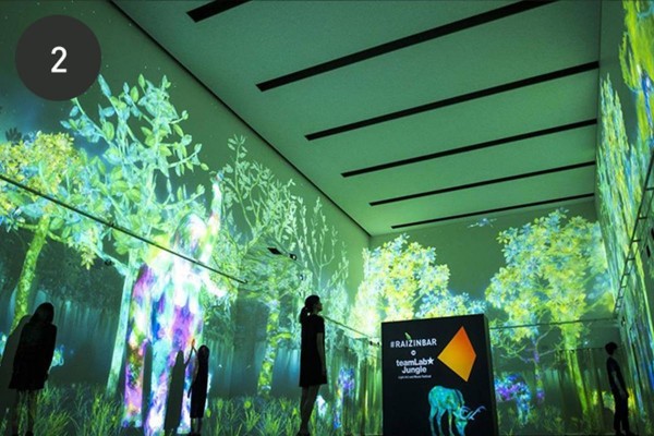 teamLab