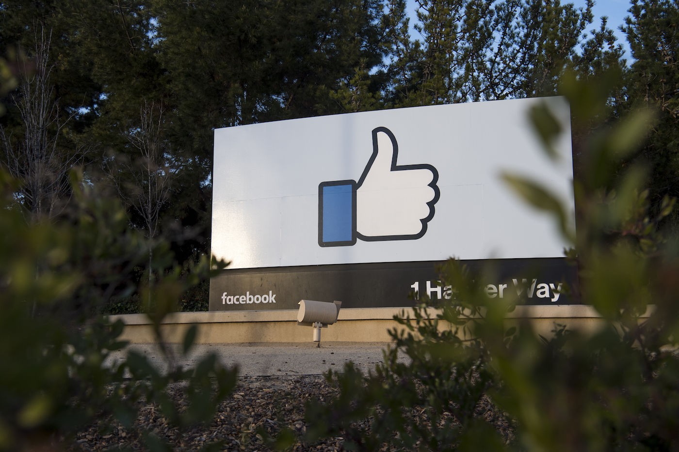 facebook.jpg