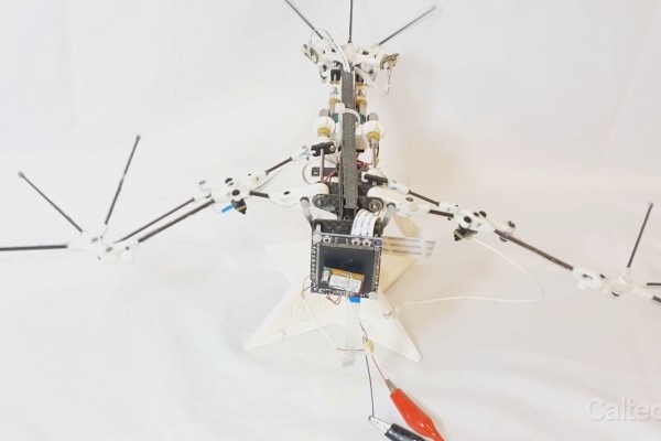 bat.bot