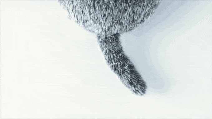 Qoobo.gif