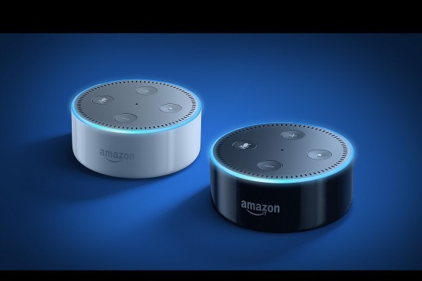 Echo Dot (4)