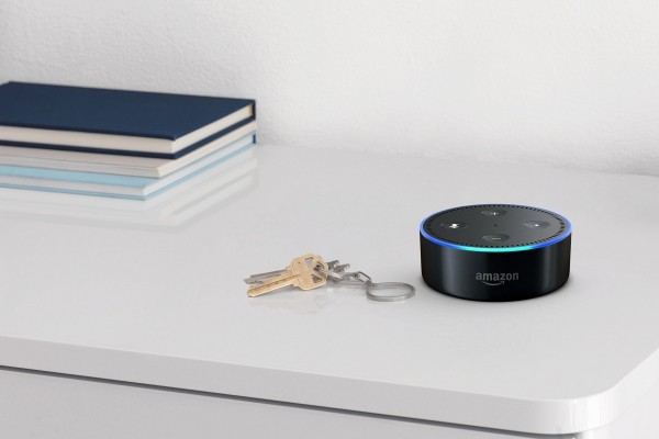 Echo Dot (3)