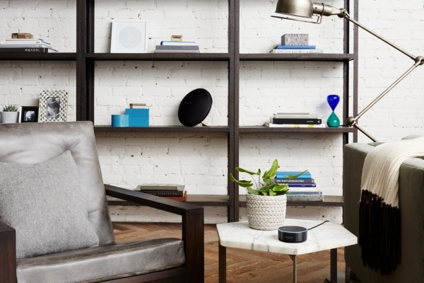 Echo Dot (2)