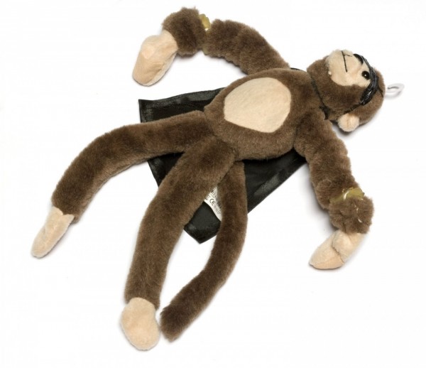 Whoops the monkey.jpg