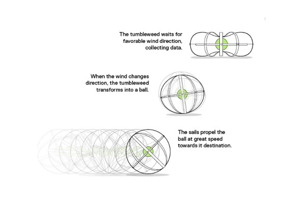 Tumbleweed (2)