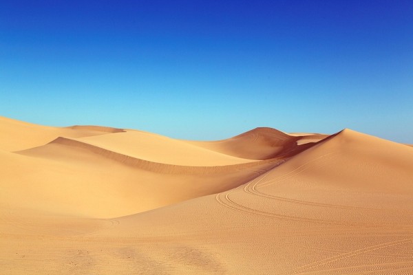 Tumbleweed (5)