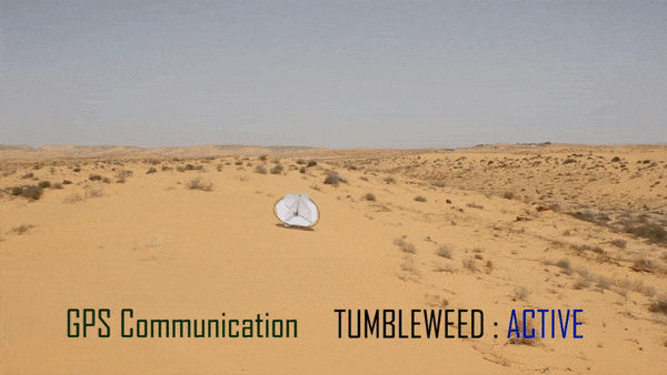 Tumbleweed gif (1)