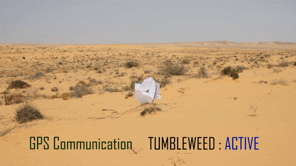 Tumbleweed gif (2)