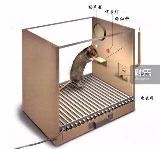 遊戲開箱6.jpg