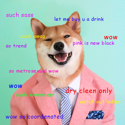 doge meme