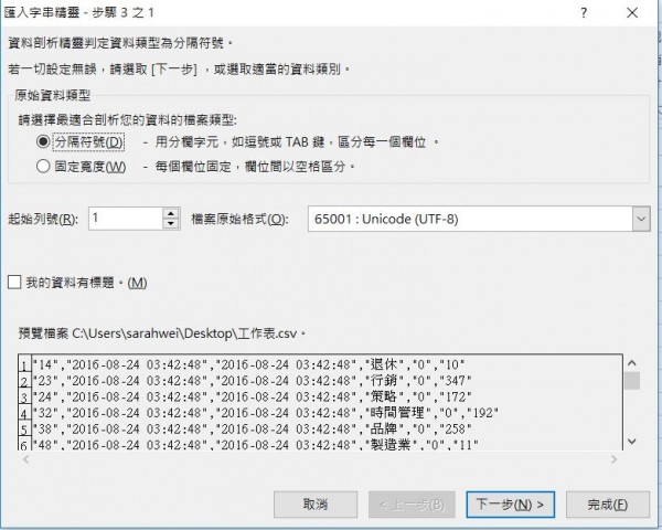 匯入字串精靈.JPG
