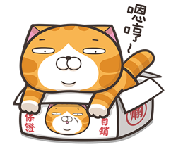 年度貼圖排行榜_第1名_白爛貓.png