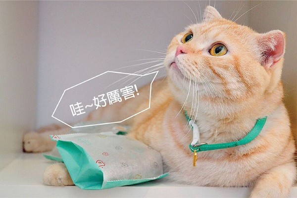 陪心寵糧
