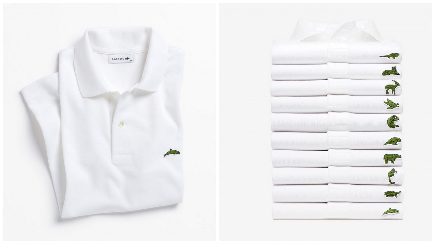 lacoste iguana polo