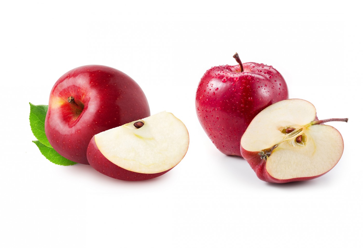 shutterstock_736739491_apple_leaf_s.jpg