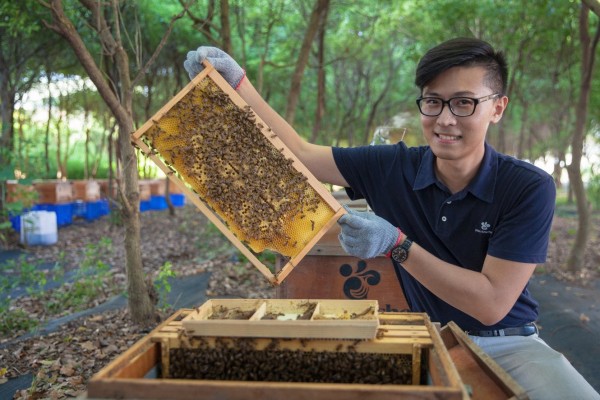 蜜蜂工坊總經理 黃親皇