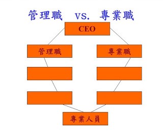 雙生涯職涯路徑.jpg