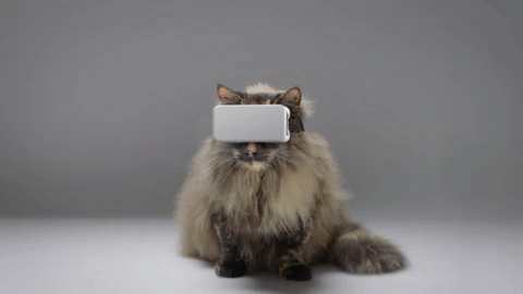 isobar_貓咪虛擬實境VR.gif