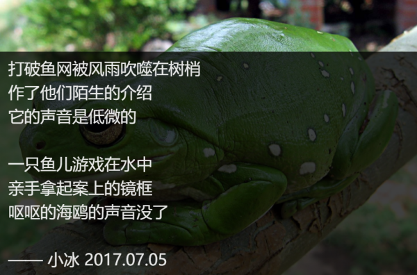 小冰