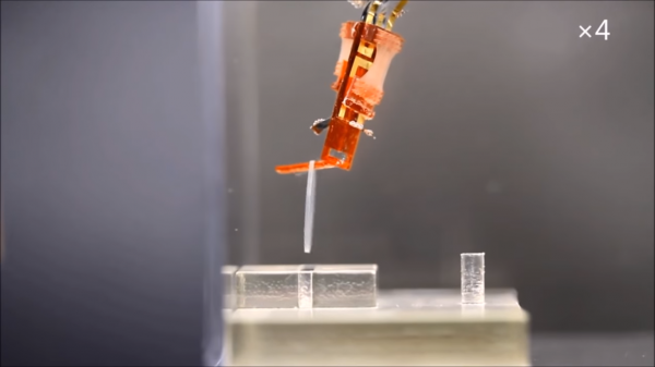 Biohybrid robot