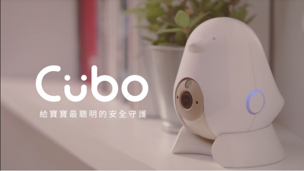 cubo-bird.png