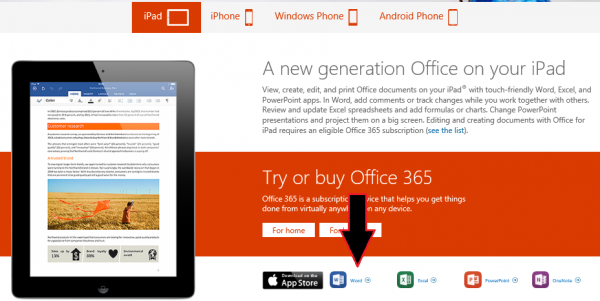 Office 365