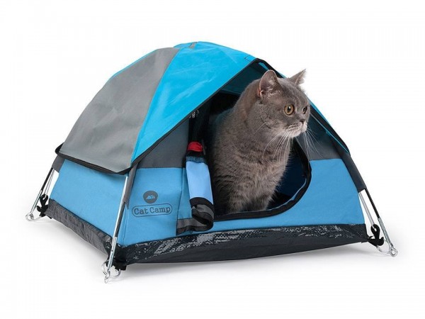 cat camp_貓咪帳篷_02.jpg