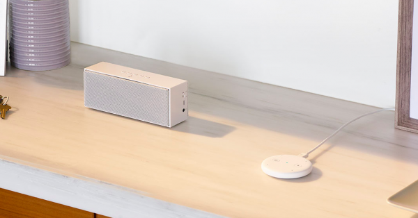 Echo Input