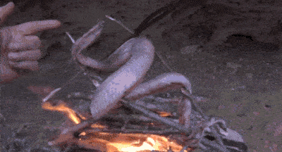 04.gif
