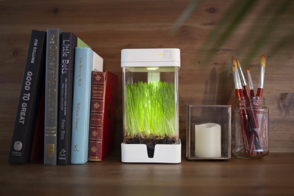 OrchidBox (2)