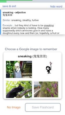 Flowlingo-00.PNG