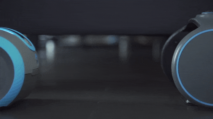 Laïka gif (2).gif
