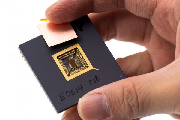 RISC V
