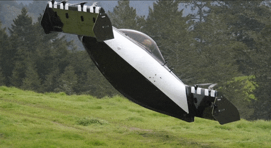 BlackFly gif (1)