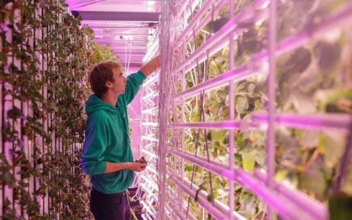Agricool2.jpg