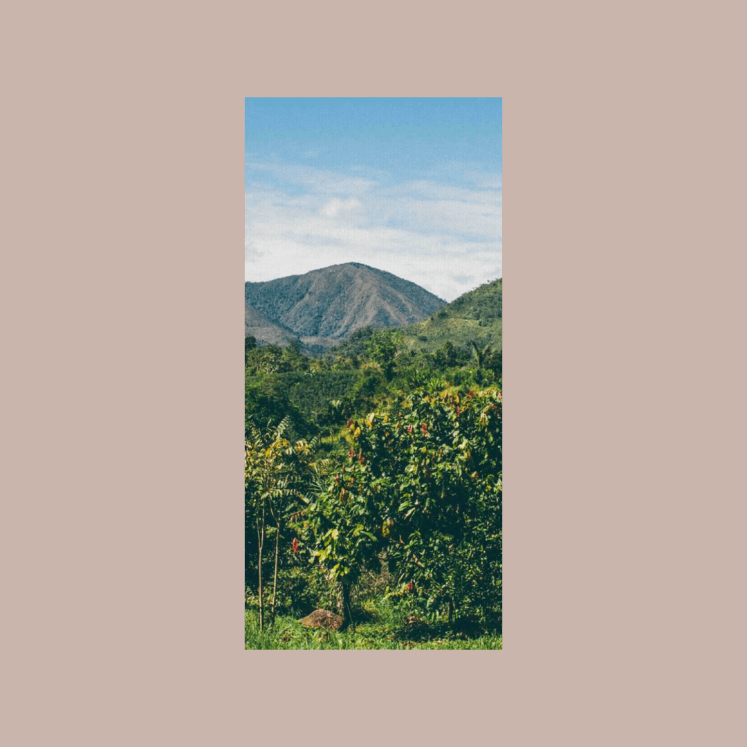 Rakka_Landscape_Showcase.gif